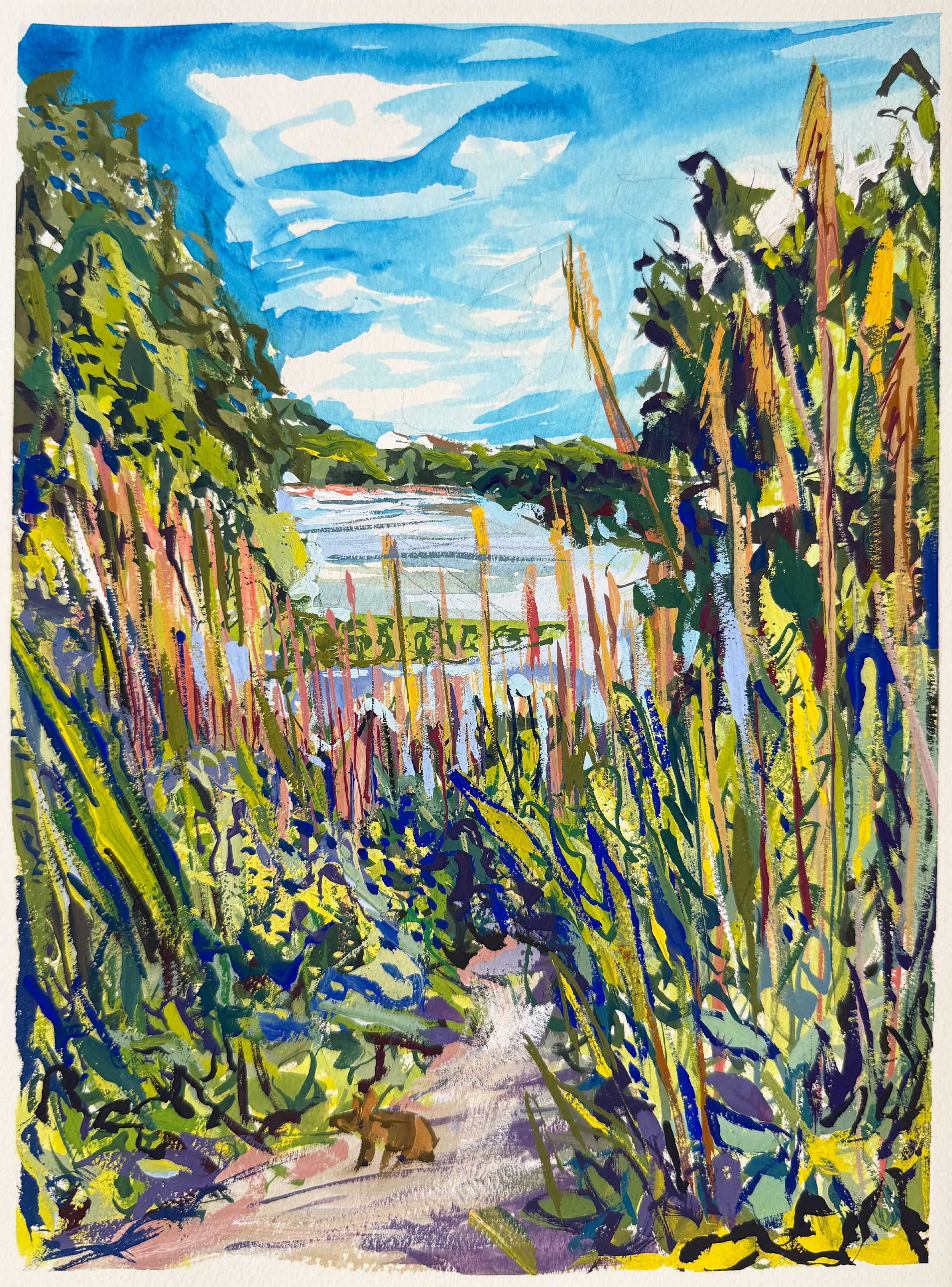 Pathway to The Mystic River